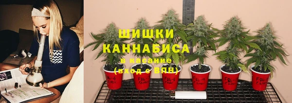 гидропоника Абинск