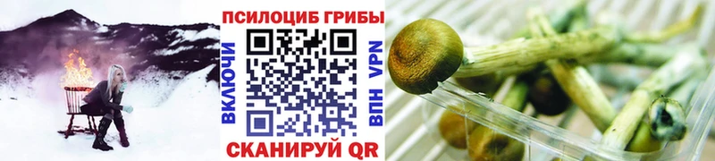 ссылка на мегу как зайти  Карпинск  Галлюциногенные грибы Cubensis  наркота 